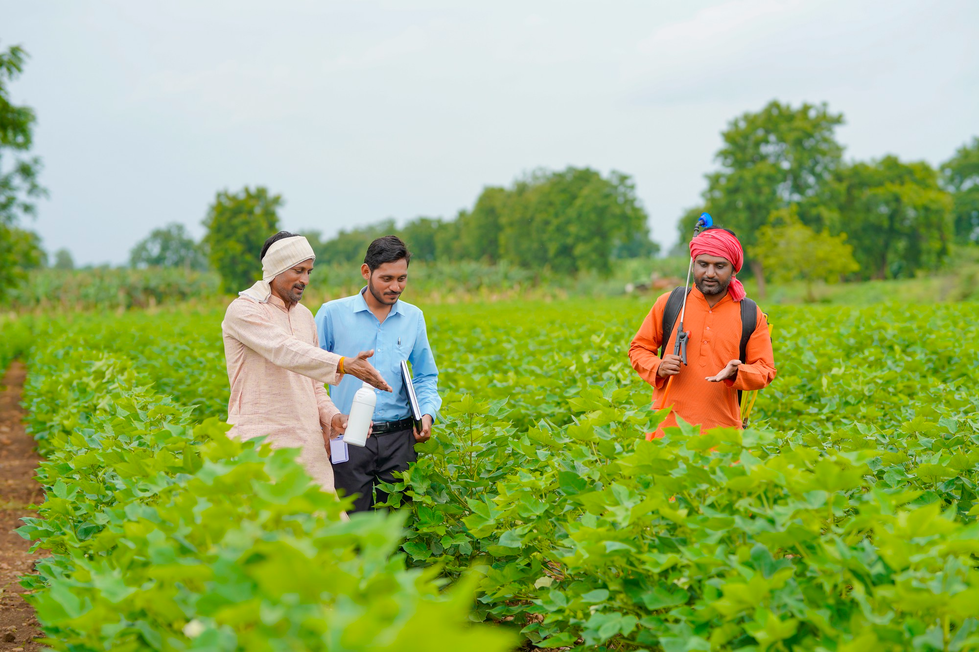 Startup Entrepreneurs