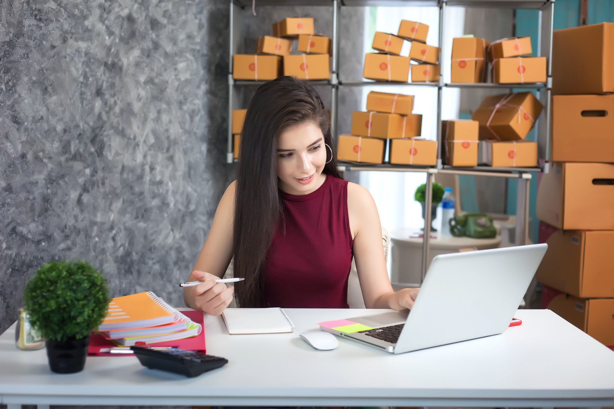 Startup Entrepreneurs